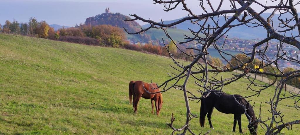 Hotel Barcadam Banská Štiavnica Eksteriør bilde